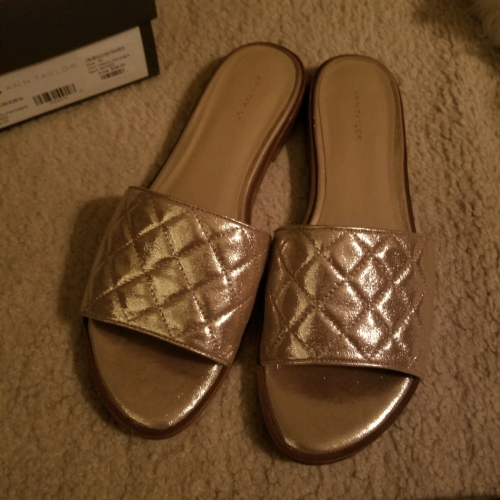 Ann Taylor Lyra slide